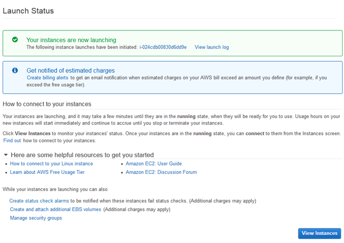 aws-ec2-launch-status