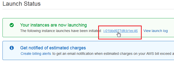 aws-ec2-launch-status-zoomin